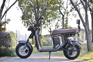 Kit de conversion de vélo électrique en alliage d'aluminium pour scooter à deux roues pour adulte, moteur sans balais, charge maximale de 200kg pour trottinette pour chariot fou - Product Image 2