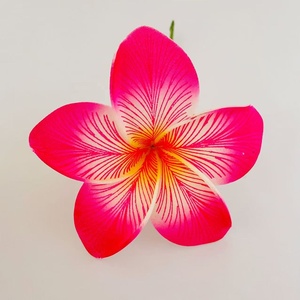 Feather Plumeria Foam Flower Stem Ear Pick <strong>Floral</strong> <strong>Hair</strong> <strong>Accessories</strong> Artificial Island Tiara Polynesian Hibiscus Tiara Hakus - Product Image 2