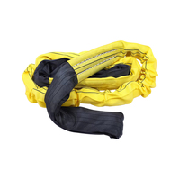 Nuevo tipo 100% poliéster negro ojo a ojo amarillo 3 toneladas redondo Web Sling