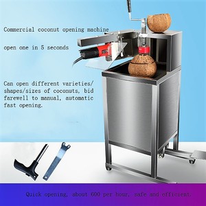 Elektrische Kokosnuss-Öffnungsmaschine Kommerzielle Frische Kokosnuss-Öffnungsmaschine Preis - Product Image 6