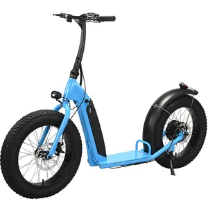 20Inch Groot Wiel Opvouwbare Elektrische Scooters Volwassen E Scooter Fat Bike Avontuur 500W Offroad Klimmen Elektrische Scooter