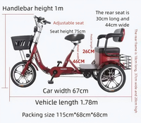 Tricycle Électrique Pliable Personnalisé pour Personnes Âgées, Double Siège Ouvert, Moteur 400W, Batterie Lithium, Assistance à la Pédale, Léger - Offre Spéciale