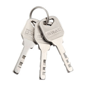 Candado resistente a la intemperie RICHDOOR, llaves de paleta anticorte, candado rectangular cromado con 3 Llaves - Product Image 4