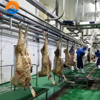 Proyecto Integral de Matadero Automatizado para Ovejas y Cabras, Planta de Procesamiento de Sacrificio, Solución Llave en Mano, Certificación CE