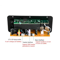 BT amplifikatör AC220V 12V 24V Mono Subwoofer ampliampliçift mikrofon 6-12 inç hoparlörler için Karaoke amplifikatörler