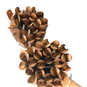 Aste per Frecce in Bambù Tonkin 7~8mm, Frecce per Tiro con l'Arco in Bambù - Product Image 4