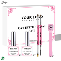 Nouvelle Tendance 2027 : Kit de Vernis Gel UV Scintillant Effet Œil de Chat avec 2 Pinceaux Double Embout et Outil Magnétique