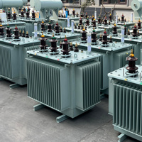 Transformateur de distribution immergé dans l'huile S13-M 11kV/400V, noyau amorphe à pertes ultra-faibles, tension personnalisée