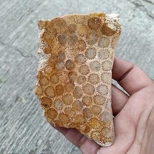 Vente en gros de dalles de jade corail de style bohème, naturelles, pour la guérison spirituelle, tendance mode pour la décoration intérieure, cadeaux de fêtes et d'anniversaire, pierre - Product Image 3