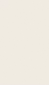 White RAL9010