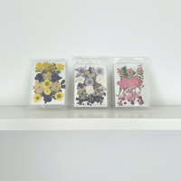 Kit de matériaux de sculpture sur feuilles DIY en lot mixte, fleurs séchées, plantes naturelles pressées, décoration artisanale, fournitures d'art, vente en gros