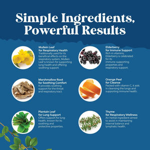 ของเหลวใบ mullein หยดของเหลวในช่องปากเร่งการหายใจสำหรับปอดที่ไม่มีแอลกอฮอล์ทำความสะอาดปอดพร้อมตัวอย่างฟรี - Product Image 4