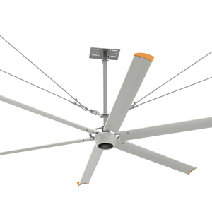 Taller de fábrica de 11 pies Ventilador de techo <span class=keywords><strong>Big</strong></span> <span class=keywords><strong>Ass</strong></span> Ventilador de techo Hvls de 6 aspas para gimnasio - Product Image 1
