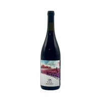 Vin Rouge Sicilien Cala Niuru Noto Biologique 2023 75cl 12% d'alcool 14/18°C Contient des sulfites