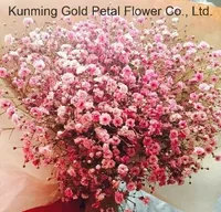 Kunming Hochwertige Günstige Großhandels-Trockenblumen Gypsophila für Hochzeits- und Heimdekoration