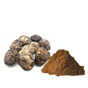 Extrait de champignon <span class=keywords><strong>Shiitake</strong></span> de haute qualité en poudre, polysaccharides hydrosolubles à 30 % pour complément alimentaire OEM - Product Image 4