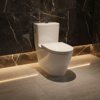 WC de luxe en céramique dorée de style occidental moderne, peinture couleur, sanitaire de salle de bain