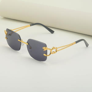 Gafas de Sol Personalizadas sin Marco con Borde Recto, Unisex, Patillas Doradas con Estampado de Leopardo, Protección UV400, Lentes de PC, Estilo Instagram - Product Image 5