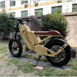 <span class=keywords><strong>2022</strong></span> Lohas conception de qualité supérieure vélo hybride électrique 2000W Mid Drive haute puissance avec batterie de marque Mid Drive Motor Cycle - Product Image 1