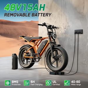Bicicleta Eléctrica R002 de 250W con Llantas Gruesas Estilo Vintage, Motor Trasero sin Escobillas, Batería de Litio de Largo Alcance para Adultos - Product Image 4