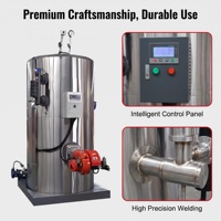 Générateur de vapeur LHS 500 kg/h pour l'huile et le gaz, haute efficacité thermique, machine à vapeur pour les produits à base de haricots et la cuisson aux herbes