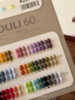 Ensemble de vernis à ongles en gel TPO Hema Free 60 couleurs 15ml Fournisseur de vernis à ongles en gros Vernis à ongles en gel à étiquette privée personnalisé Gel UV Salon de manucure