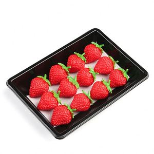Hot Sale Meat Vegetable Packaging Single Layer Pad 160*70mm Food Grade Fresh Water Absorbent Pad - Product Image 5