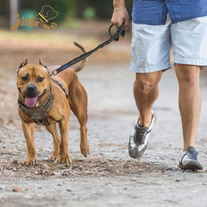 Guinzaglio mimetico lungo per cani - Product Image 5