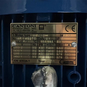 Motor Trifásico Cantoni de 4 Kw y 1455 Rpm con Montaje a Pie para Uso Industrial - Product Image 1