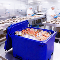 Conteneur Isotherme 660L pour Transport de Fruits de Mer Congelés, Grande Boîte à Poisson pour Stockage à Froid et Expédition en Gros