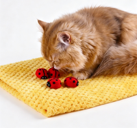 Jouet pour animaux de compagnie en laine de Nouvelle-Zélande 100% naturelle, feutré à la main, jouet à mâcher en laine naturelle, jouet interactif écologique pour chats