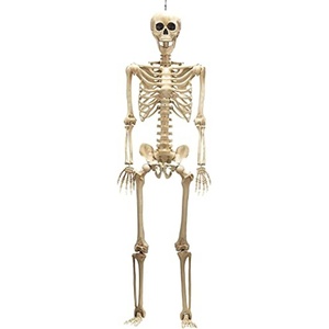 Squelette d'Halloween de simulation humaine, accessoires de décoration pour fête d'horreur, squelette d'horreur, enseignement de l'anatomie humaine - Product Image 1