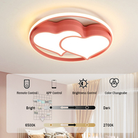 Plafonniers LED Dolphin lumineux et chauds Design acrylique mignon pour les chambres d'enfants et de parents d'enfants Mode de contrôle à distance