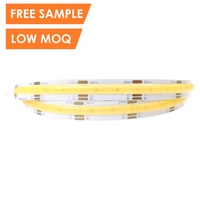 Bande LED CCT double blanc réglable, blanc réglable COB 24V 12V IP20/IP66, bandes lumineuses pour éclairage DC12V 5m MOQ