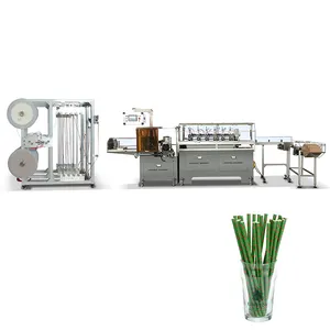 Hongshuo HS-XGJ latest fully automatic biodegradable disposable drinking high speed paper straw making machine