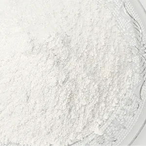 China Factory 99% Purity Calcium Carbonate Powder CACO3 Powder Coated Calcium Carbonate Powder