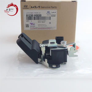 Sistema de cubierta de alta calidad LATCH ASSY-TAIL GATE 81230-H0030 para Hyundai Solaris 81230-H0030 - Product Image 1