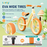 Vélo d'équilibre pour enfants Luddy Wholesale OEM B.Duck en alliage de magnésium, léger, sans pédales, vélo d'apprentissage pour tout-petits, pneus EVA, âges 2-6 ans
