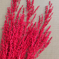 Fleur préservée cent matériaux de fleurs de pointe pour les arrangements floraux et les décorations de maison de bouquet plantes séchées noël