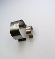 Clip à ressort en acier inoxydable Caiyin pour usage automobile, couleur et taille personnalisables, OEM disponible