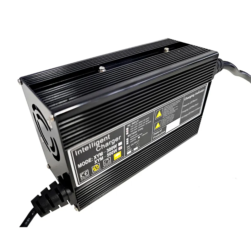 12v 24v 36v 48v chì axit pin sạc lithium ion battery charger cho xe điện 6a 10a 15a 20a