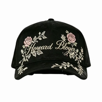 Casquette de baseball de luxe sportive à 5 panneaux, style rétro, brodée avec motifs Grue, Ange, Rose, Papillon, Léopard, Pois, Fruits, style Gothique Streetwear