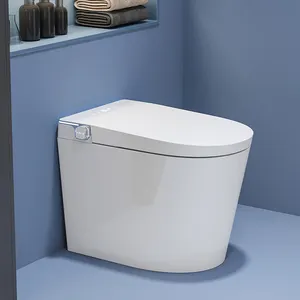 Electric Small Size Bathroom Commode Floor Mounted Ceramic Automatic Flush Wc Intelligent Smart Toilet Bowl With Bidet