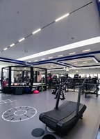 Caminadora Curva de Alta Resistencia Sin Motor para Gimnasios Comerciales y Ejercicio Cardiovascular en Casa