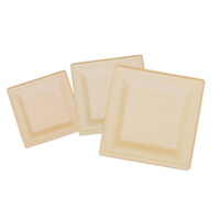Assiettes jetables en bagasse de canne à sucre sans PFAS, compostables, résistantes au micro-ondes, au lave-vaisselle et à l'eau, pour la restauration, les plats à emporter et les mariages