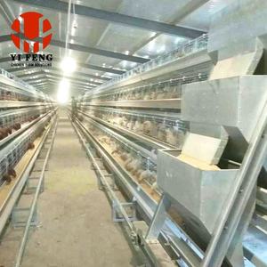 กรงไก่เนื้ออัตโนมัติแบบชุบสังกะสีสำหรับพื้นที่เขตร้อน พร้อมเคลือบกันความชื้นแบบเอเชียตะวันออกเฉียงใต้ และอุปกรณ์ให้อาหารไก่อัตโนมัติ - Product Image 6