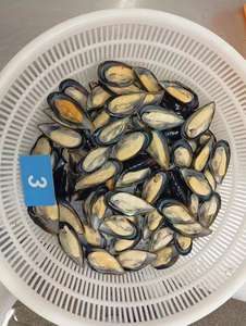 Mejillón verde congelado de media concha, vendedor caliente de origen chileno, <span class=keywords><strong>precio</strong></span> competitivo - Product Image 2