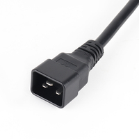 Cordon d'extension DC vers IEC C20/C21 femelle de haute qualité pour PDU/UPS, prix usine de gros, pour usage industriel approuvé IP35