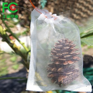 <span class=keywords><strong>Filet</strong></span> <span class=keywords><strong>anti</strong></span>-insectes en nylon transparent, sac de protection pour fruits, <span class=keywords><strong>filet</strong></span> de protection en maille - Product Image 5