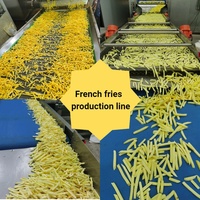 Nieuwe Franse Bevroren Kleinschalige Knapperige Gebakken Aardappelchips Maker Fruit En Plantaardige Productielijn Frituurmachine
